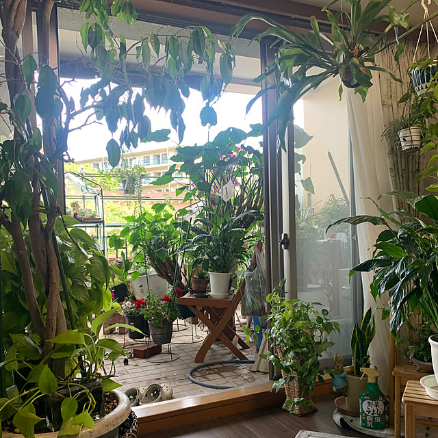 Aqettyさんの部屋