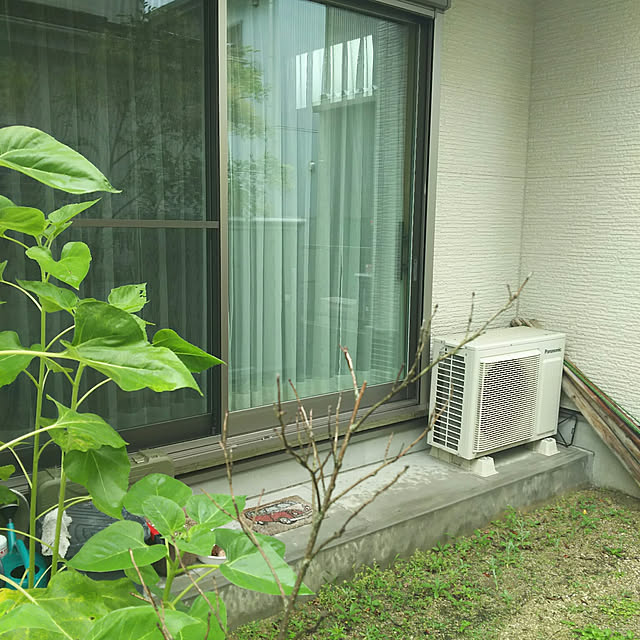 rierieさんの実例写真