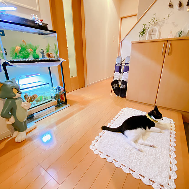 moolさんの部屋