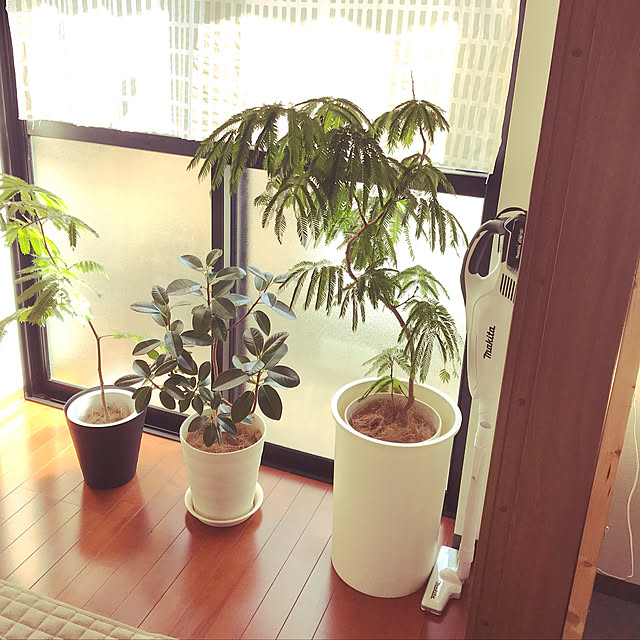 chirotanさんの実例写真