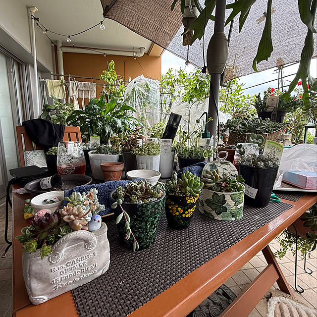 Aqettyさんの実例写真