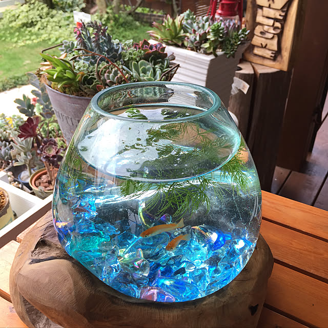 実例写真