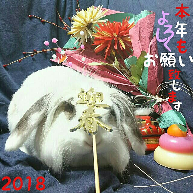 WASABIさんの実例写真