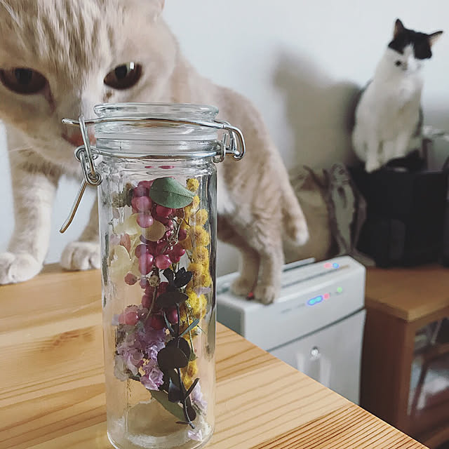 nicoさんの実例写真