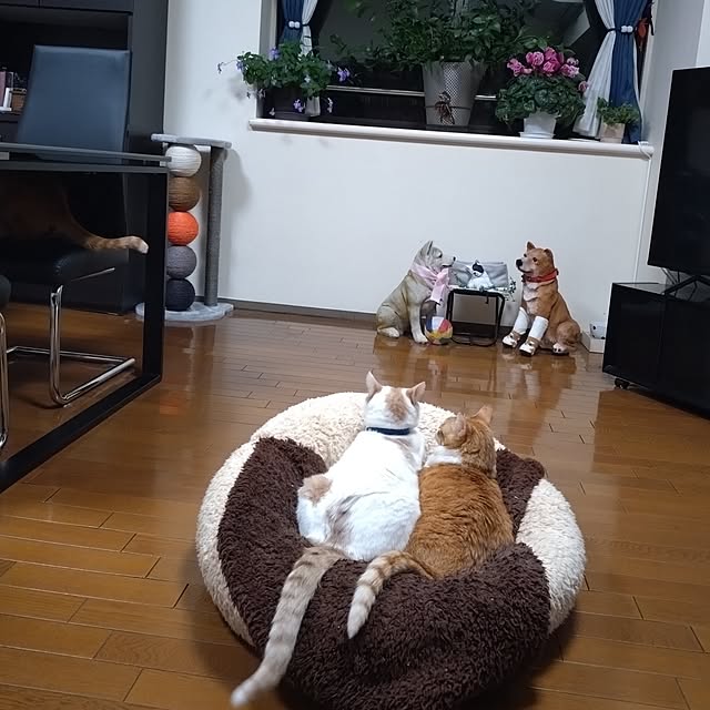 NOAHさんの部屋