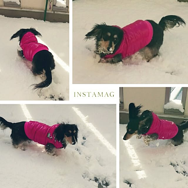 cocosorasakuさんの実例写真