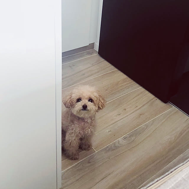 BONEさんの実例写真