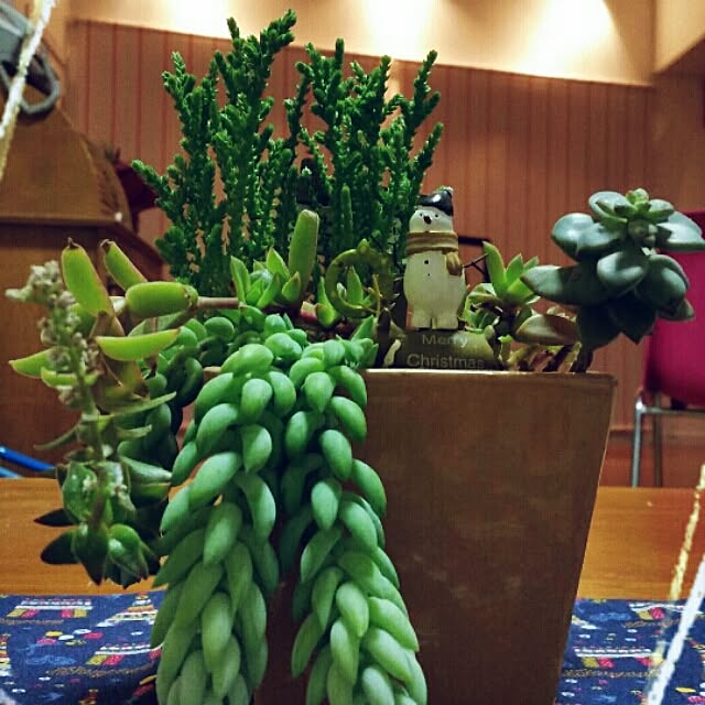 Yumiさんの実例写真