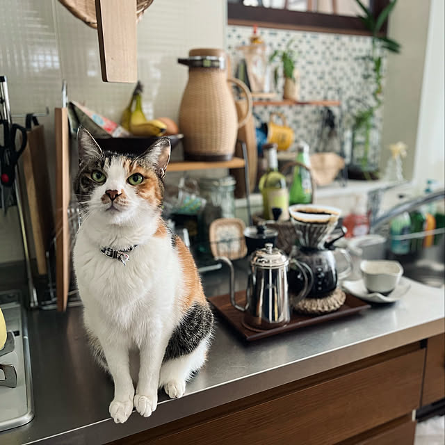 Maruさんの実例写真