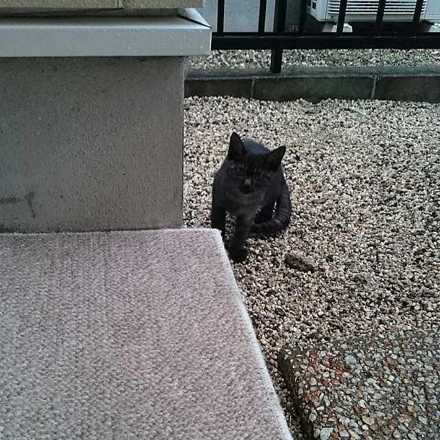 lilyさんの実例写真