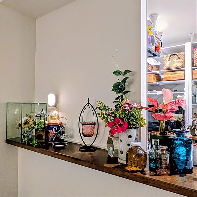 mi-saさんの部屋