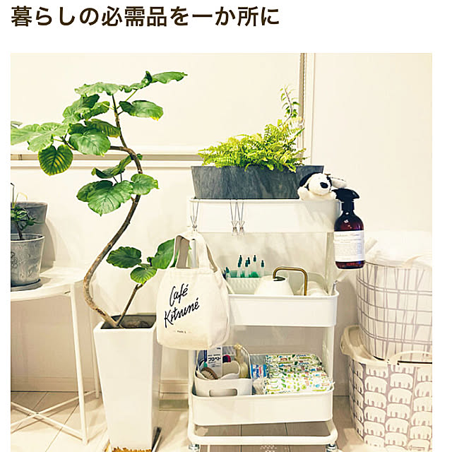 minminさんの実例写真