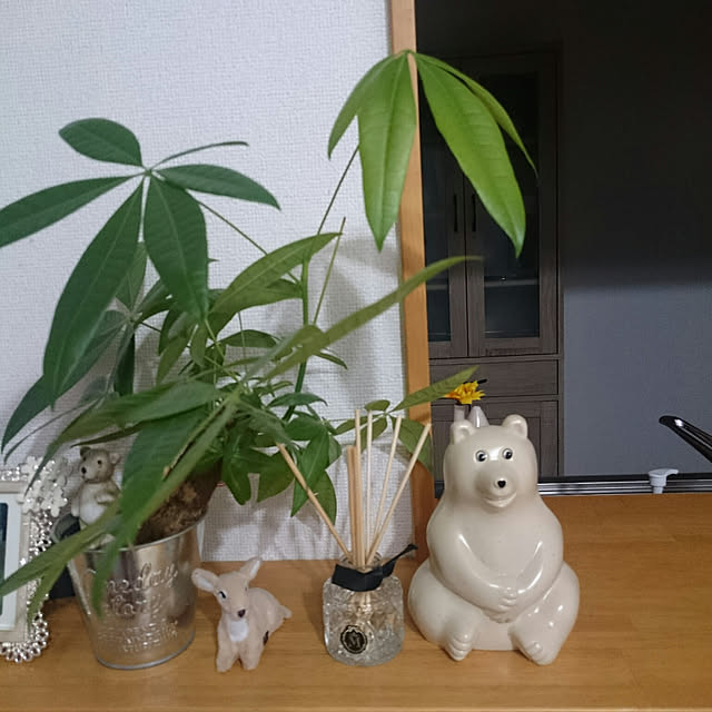 minikelさんの実例写真
