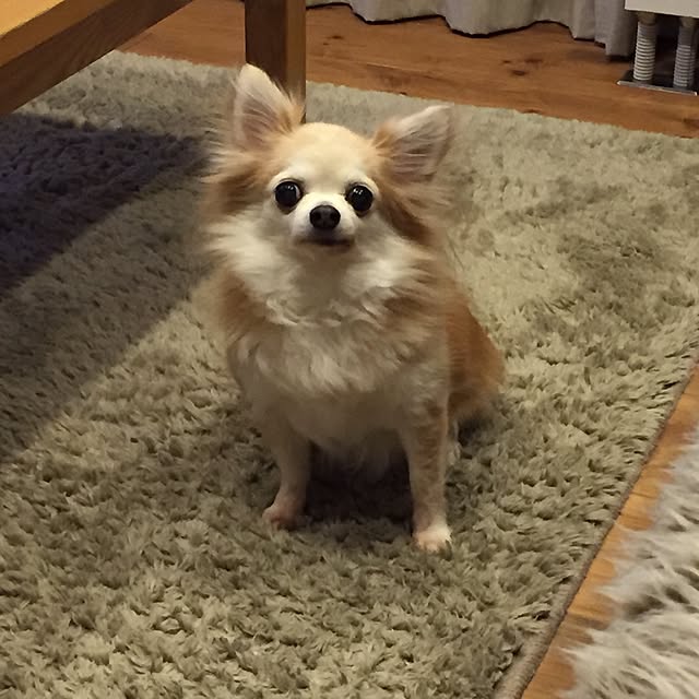 acoさんの実例写真