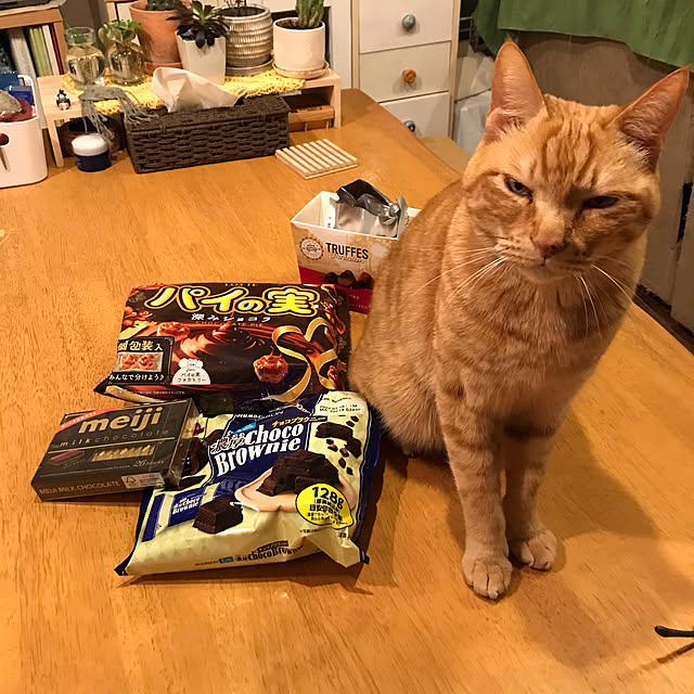 kou-kitiさんの実例写真