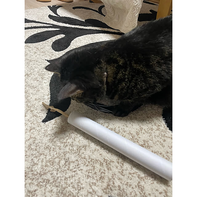 momocchiさんの部屋