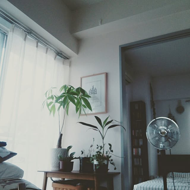 copenさんの実例写真