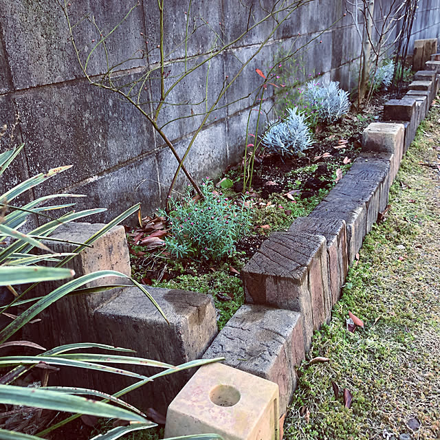 chacoさんの実例写真