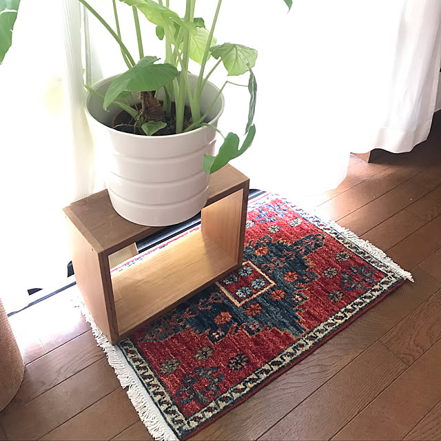 Aipoint0524さんの実例写真