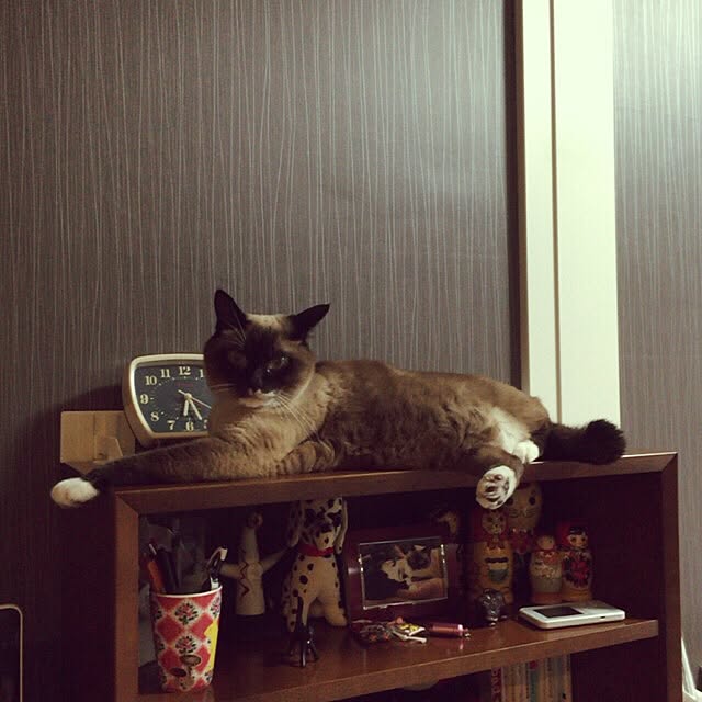 __tterさんの実例写真