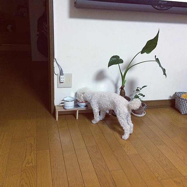mocoyuki113さんの実例写真
