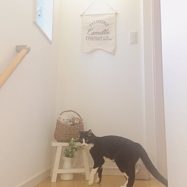 lovecatさんの実例写真