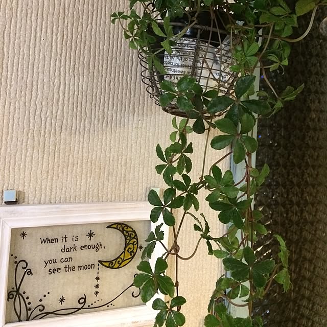 tate.yo_koさんの実例写真