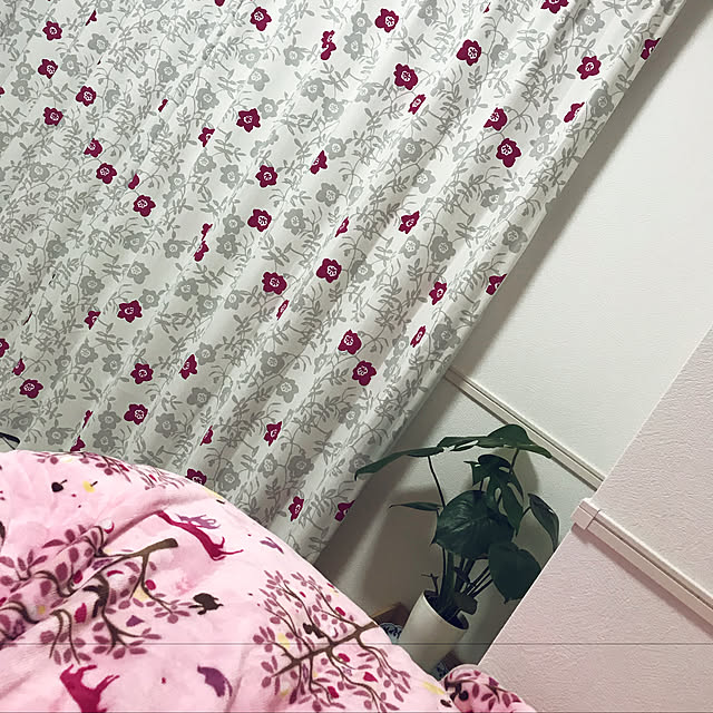LUCKYOKOさんの実例写真