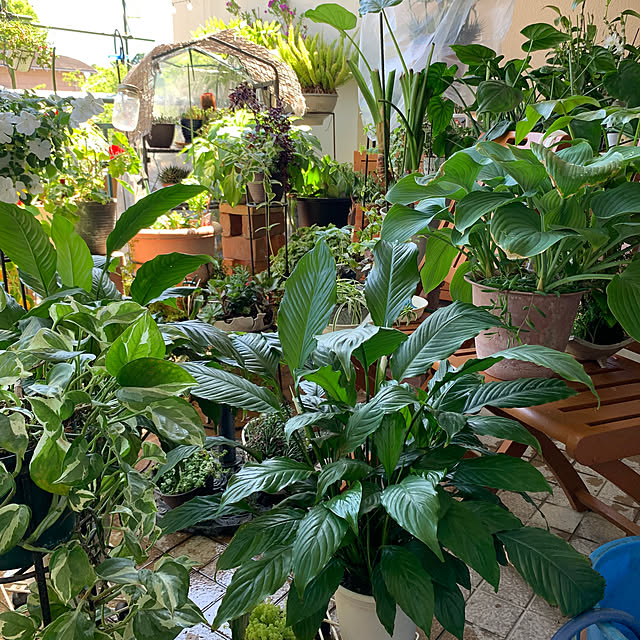 Aqettyさんの部屋