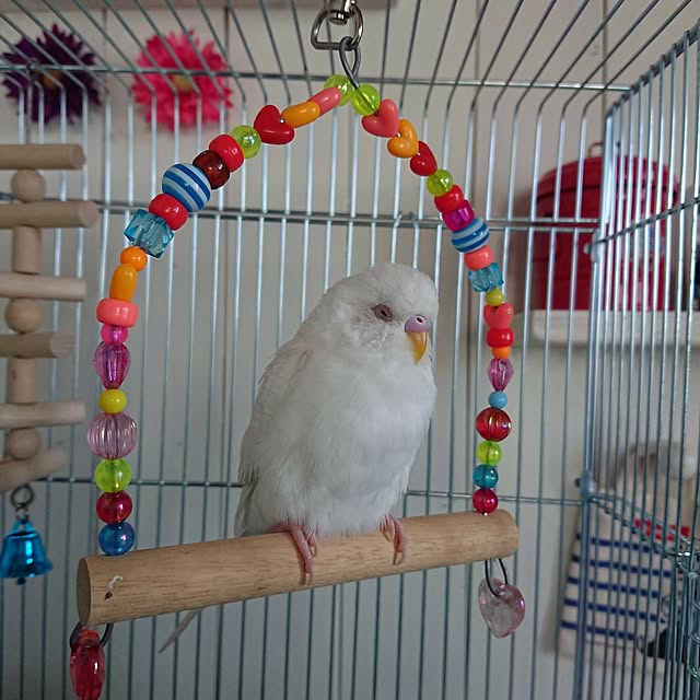 karinさんの実例写真