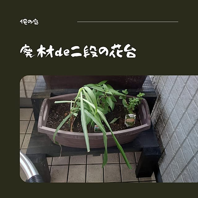 orenoniwa5nenさんの実例写真