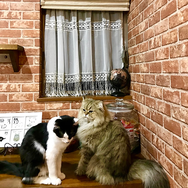 butachanさんの実例写真