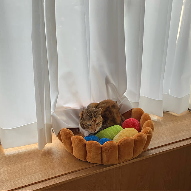 maltaさんの実例写真