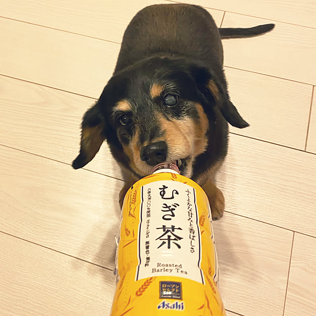 ohanaさんの実例写真