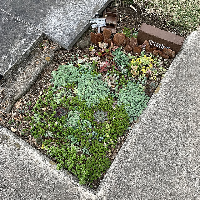 yumさんの実例写真
