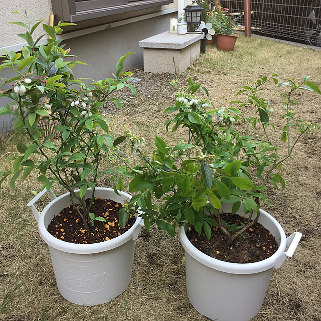 pansanさんの実例写真