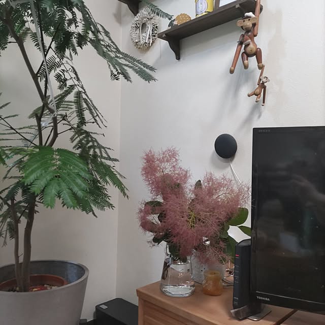 yuuさんの実例写真