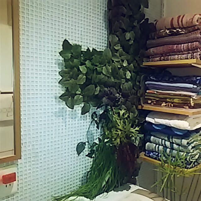 spinetailさんの実例写真