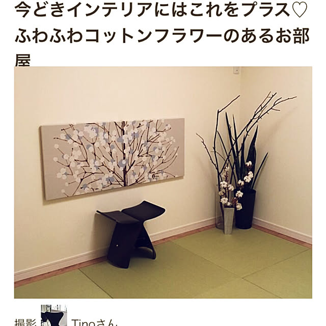 Tinoさんの実例写真