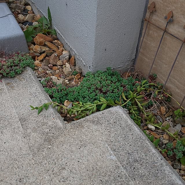 KOHAKUさんの部屋