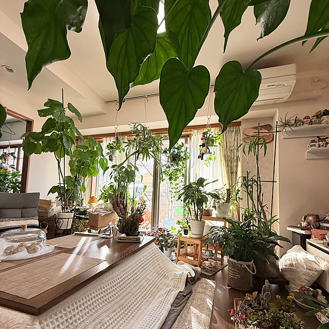 Aqettyさんの部屋