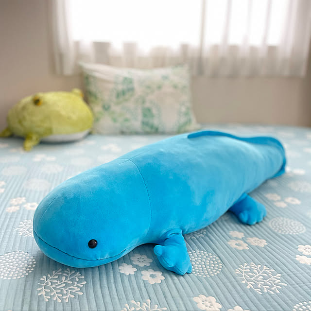 miechuraさんの実例写真
