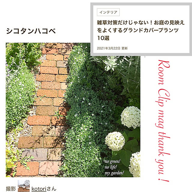 kotoriさんの実例写真