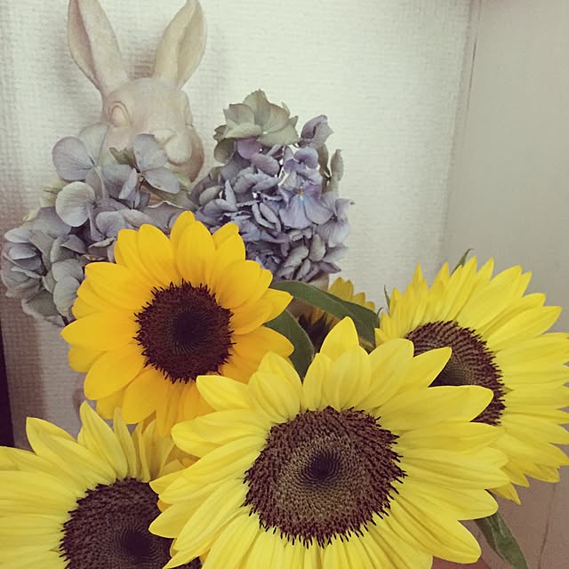 lovekuma_emilyさんの実例写真