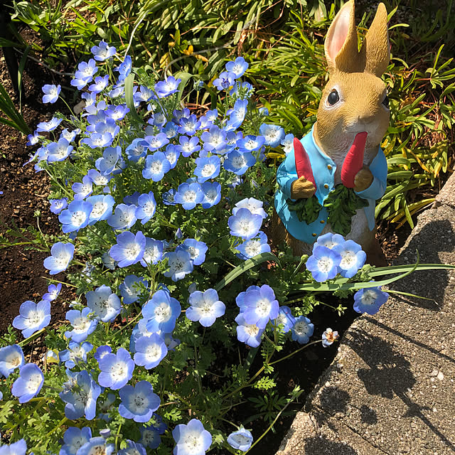 aityさんの実例写真