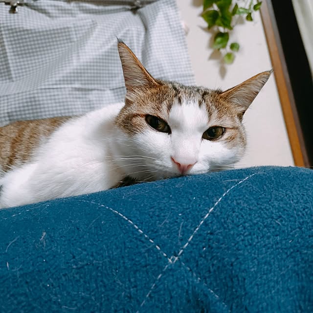 mori_6_12さんの部屋