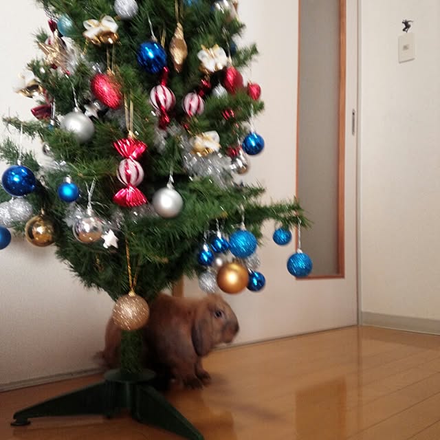 izmさんの実例写真