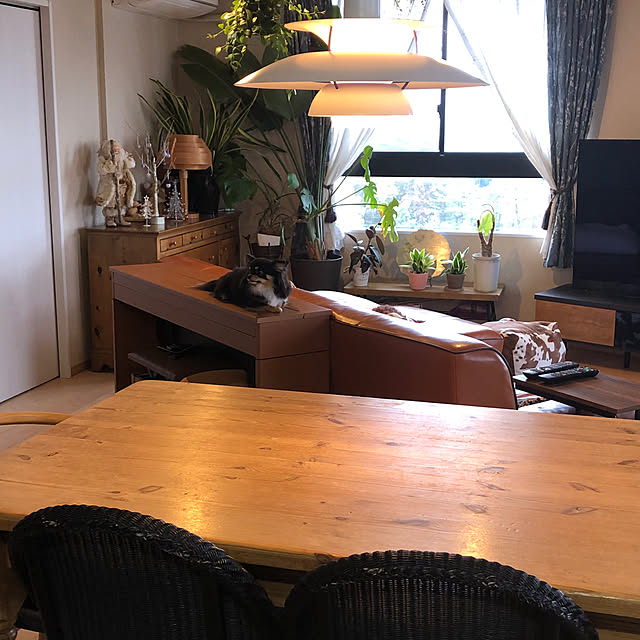 poporiさんの部屋