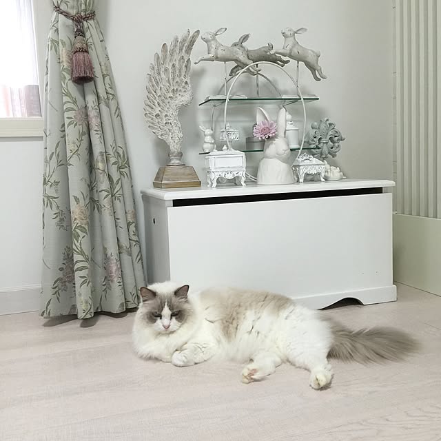 yuchiさんの実例写真