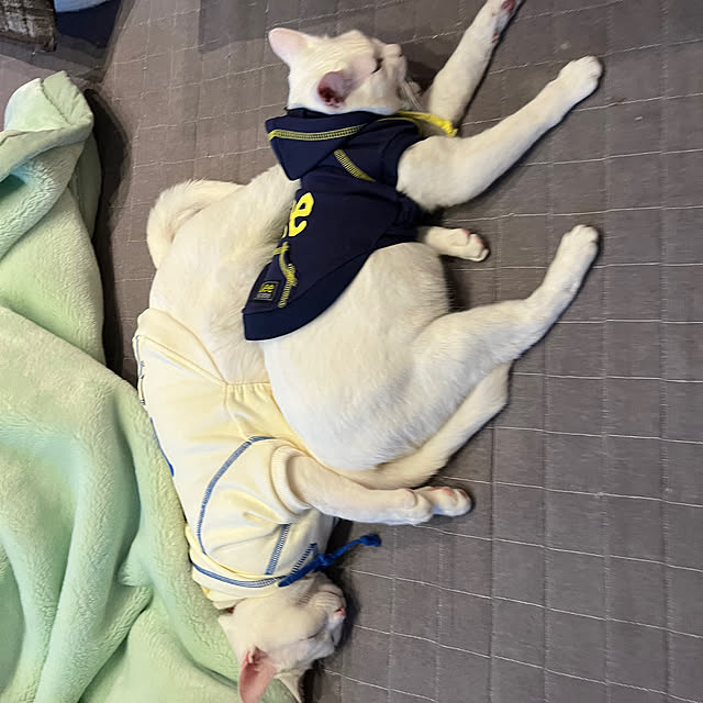 hanaさんの実例写真